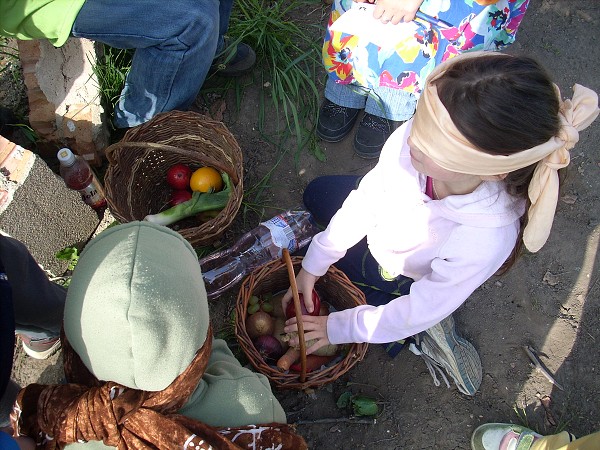 Den země 2009