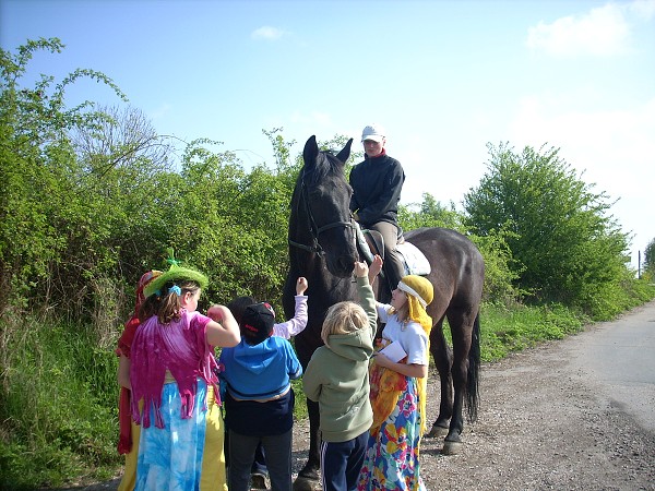 Den země 2009