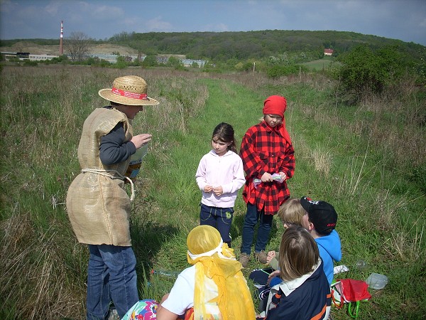 Den země 2009