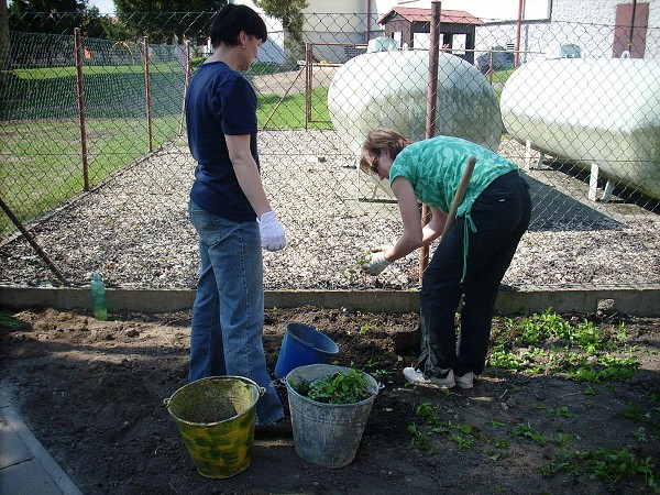 Poslední úpravy Zahrada poznání - duben 2010